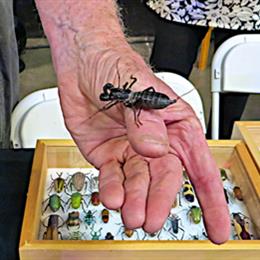 Dr. Richard Kaae, Cal Poly entomologist, at TwentyWonder 2014. Photo by Diana Sedenquist.