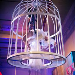 Allison Lockfield the Beauty in the Birdcage presented by Way 2 Much Entertainment at TwentyWonder 2014. Photo by Eric James Wood.